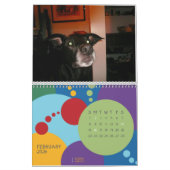 Het is mijn verjaardag, SUCKAS!!! Kalender (Feb 2026)