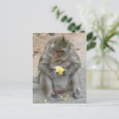 Het is Mine! .. Wild Thai Macaque Monkey Briefkaart (Staand voorkant)