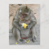 Het is Mine! .. Wild Thai Macaque Monkey Briefkaart (Voorkant)