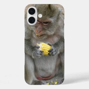 Het is Mine! .. Wild Thai Macaque Monkey iPhone 16 Plus Hoesje