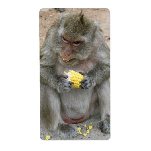 Het is Mine! .. Wild Thai Macaque Monkey Etiket (Voorkant)
