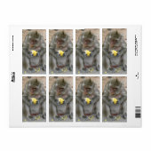 Het is Mine! .. Wild Thai Macaque Monkey Etiket (Full Sheet)