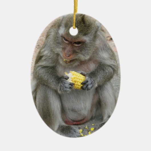 Het is Mine! .. Wild Thai Macaque Monkey Keramisch Ornament (Voorkant)