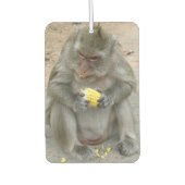 Het is Mine! .. Wild Thai Macaque Monkey Luchtverfrisser (Voorkant)