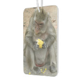 Het is Mine! .. Wild Thai Macaque Monkey Luchtverfrisser (Links)