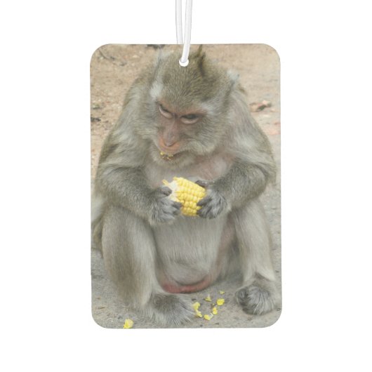 Het is Mine! .. Wild Thai Macaque Monkey Luchtverfrisser (Achterkant)