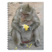 Het is Mine! .. Wild Thai Macaque Monkey Notitieboek (Voorkant)
