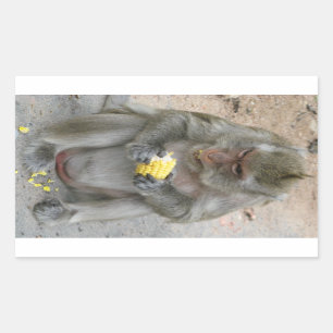 Het is Mine! .. Wild Thai Macaque Monkey Rechthoekige Sticker