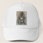 Het is Mine! .. Wild Thai Macaque Monkey Trucker Pet (Voorkant)