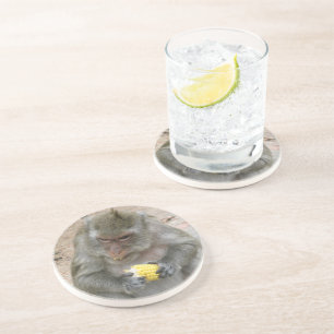 Het is Mine! .. Wild Thai Macaque Monkey Zandsteen Onderzetter