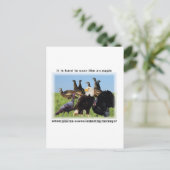 Het is moeilijk om te zweven als een adelaar citaa briefkaart (Staand voorkant)