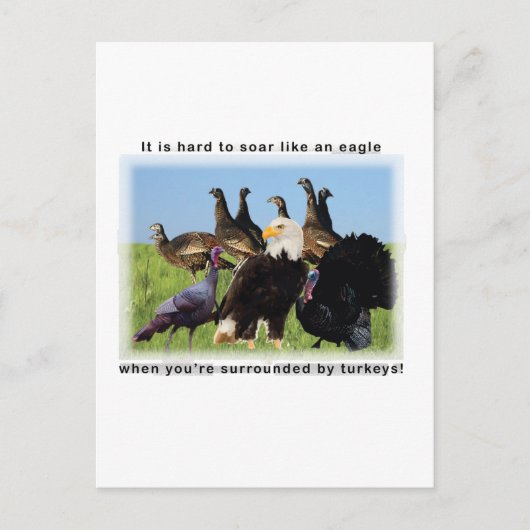 Het is moeilijk om te zweven als een adelaar citaa briefkaart (Voorkant)