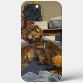 Het is Molly! Case-Mate iPhone Case (Achterkant)