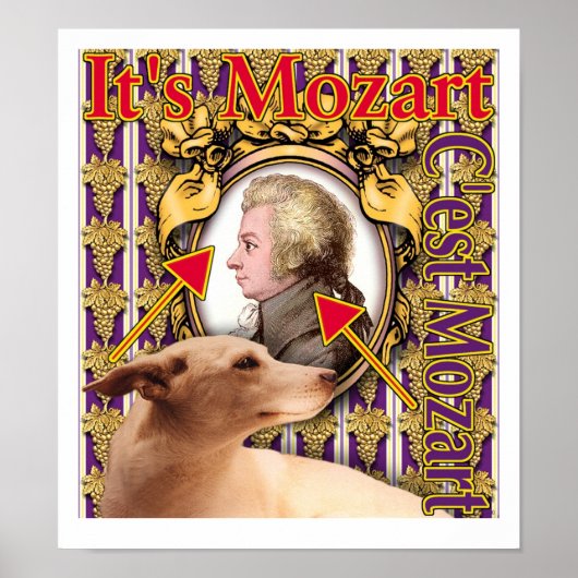 Het is Mozart Poster (Voorkant)