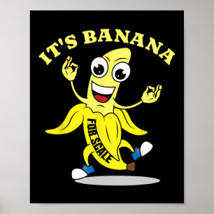 Het is Nana (voor schaal) Starship Grappig Poster