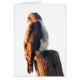 "Het is niet genoeg om goed te zijn...." Cooper's