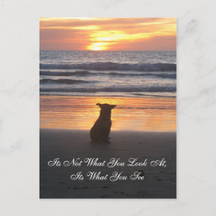 Het is niet waar je naar kijkt. zijn Wat je ziet k Briefkaart