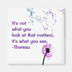 Het is niet wat je ziet in Thoreau Magnet