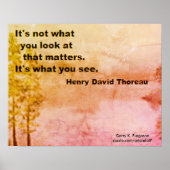 HET IS NIET WAT Y0U NAAR THOREAU ZIET POSTER (Voorkant)