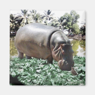 Het is oké dat we anders zijn, we kunnen het uitwe magneet