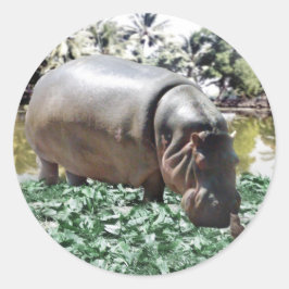 Het is oké dat we anders zijn, we kunnen het uitwe ronde sticker