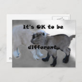 Het is oké om anders te zijn briefkaart (Voorkant / Achterkant)
