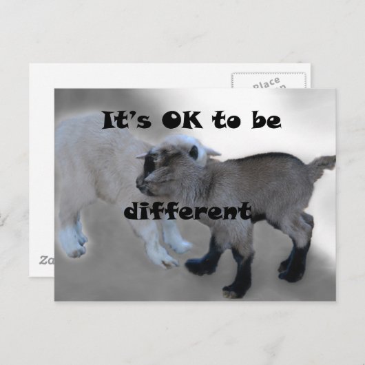 Het is oké om anders te zijn briefkaart (Voorkant / Achterkant)