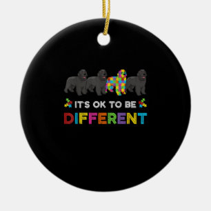 Het is oké om een andere Newfoundland Autism Dog t Keramisch Ornament