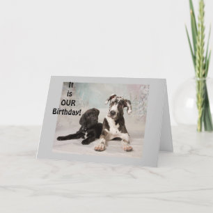 HET IS "ONZE" VERJAARDAG - GEWELDIGE DAG! KAART