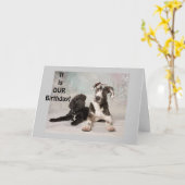 HET IS "ONZE" VERJAARDAG - GEWELDIGE DAG! KAART (Gele Bloem)