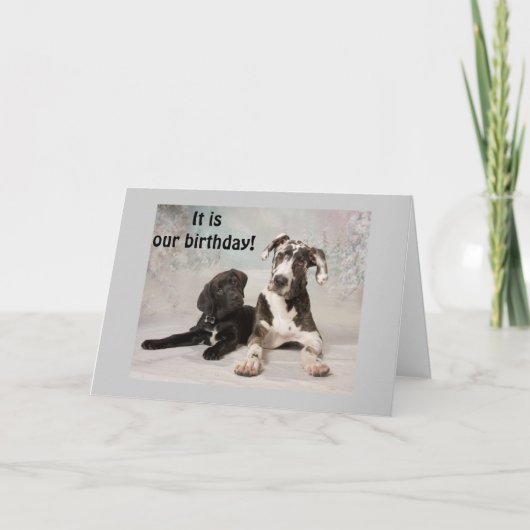 HET IS "ONZE" VERJAARDAG - GEWELDIGE DAG! KAART (Voorkant)