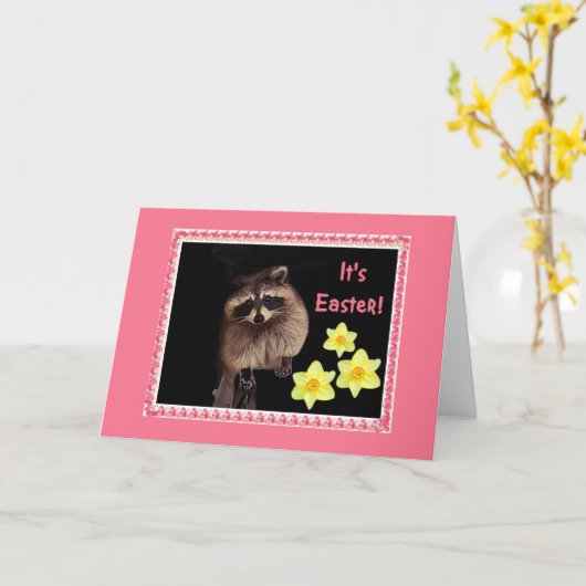 Het is Pasen!  Wasberen kaart voor iedereen. (Gele Bloem)