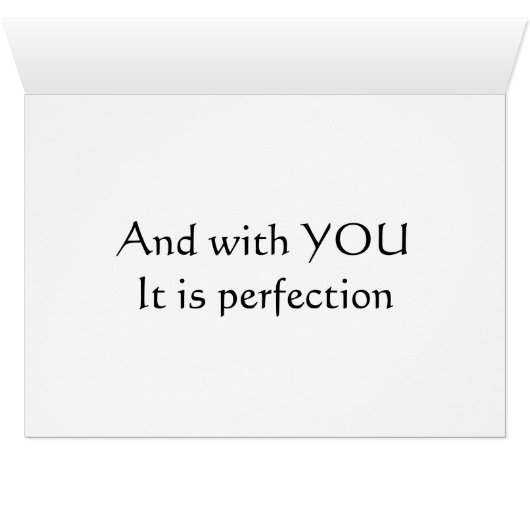 HET IS 'PERFECTIE' ALLEMAAL VERLIES (Binenzijde Horizontaal (Onderkant))