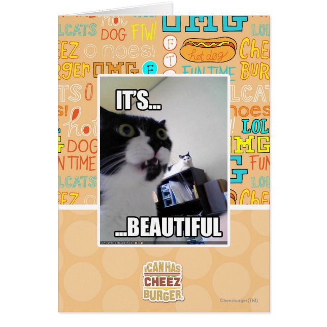 Het is prachtig (Voorkant)