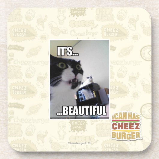 Het is prachtig bier onderzetter (Voorkant)