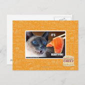 Het is prachtig! briefkaart (Voorkant / Achterkant)