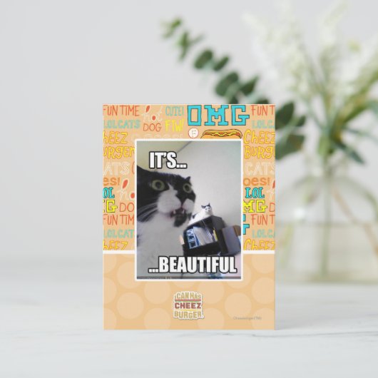 Het is prachtig briefkaart (Staand voorkant)