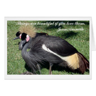 Het is prachtig. . . kaarten