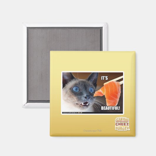 Het is prachtig! magneet (Voorkant / Achterkant)