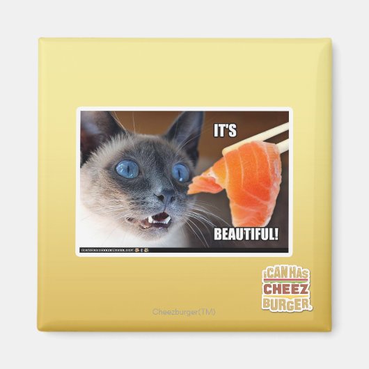 Het is prachtig! magneet (Voorkant)