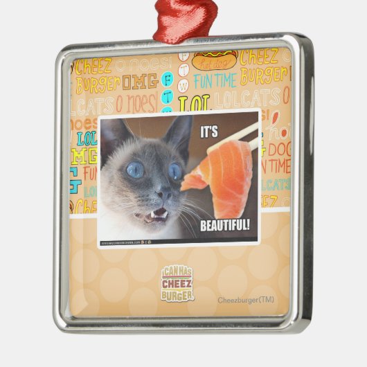 Het is prachtig! metalen ornament (Links)