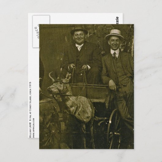 Het is prachtig weer voor een slee ritje samen! briefkaart (Voorkant / Achterkant)