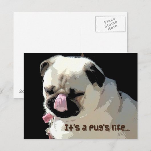 Het is Pug het leven… Briefkaart (Voorkant / Achterkant)