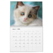 Het is Raining Cats and Dogs. Kalender (Mar 2026)