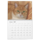Het is Raining Cats and Dogs. Kalender (Jan 2027)