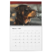 Het is Raining Cats and Dogs. Kalender (Feb 2027)