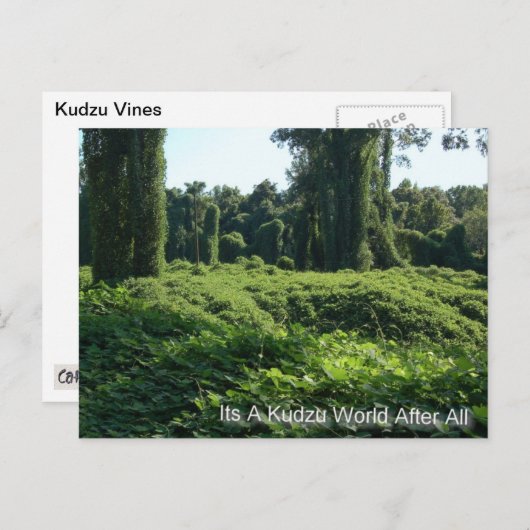 Het is tenslotte een Kudzu-wereld Briefkaart (Voorkant / Achterkant)