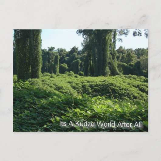 Het is tenslotte een Kudzu-wereld Briefkaart (Voorkant)