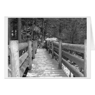 Het is tijd om die brug over te steken.