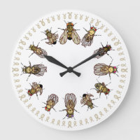 Het is tijd om Drosophila te sorteren.